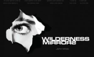 Wilderness of Mirrors Cover