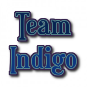 Team Indigo